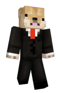 ZoopyDoopy Minecraft avatar full body