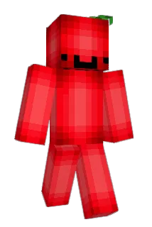 Zouckk Minecraft avatar full body