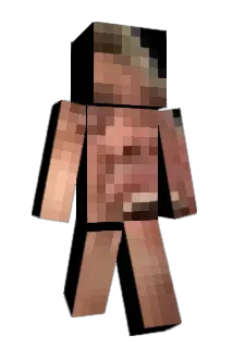 Zozam Minecraft avatar full body