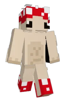 Zozol_33 Minecraft avatar full body