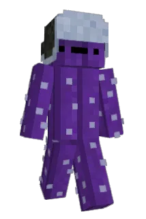 Zrqn Minecraft avatar full body
