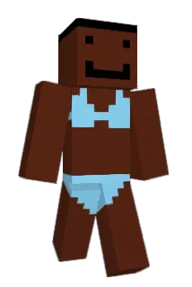 Zsant1108 Minecraft avatar full body