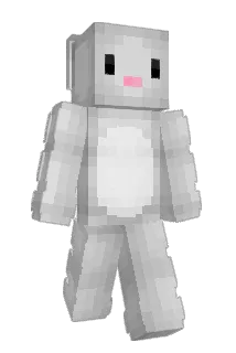 Zsuu94 Minecraft avatar full body