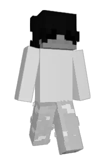 Ztk2k Minecraft avatar full body