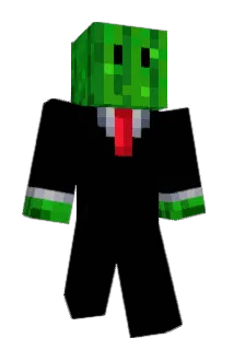 Zucch1na Minecraft avatar full body
