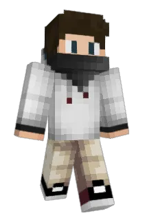 Zuidhoek Minecraft avatar full body