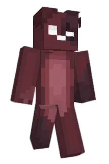ZuniZee Minecraft avatar full body