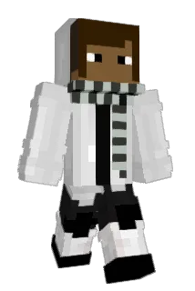 Zwaany Minecraft avatar full body