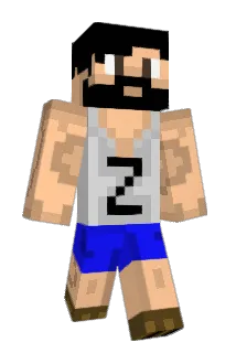 Zwaarsky Minecraft avatar full body