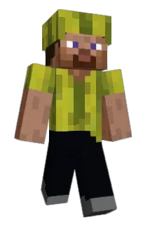 Zweepje_ Minecraft avatar full body