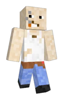 Zweibrett Minecraft avatar full body