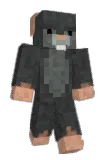 Zweigee Minecraft avatar full body