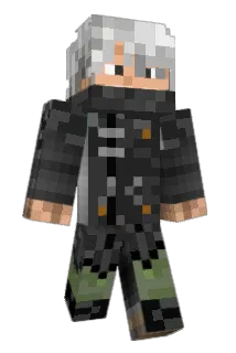 Zwytch Minecraft avatar full body