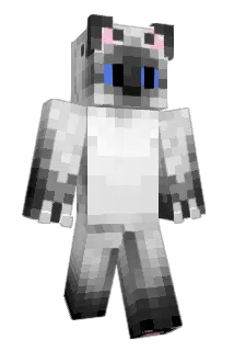 Zyelek Minecraft avatar full body