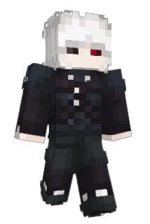 ZynkoWN Minecraft avatar full body