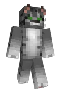 Zyroto Minecraft avatar full body