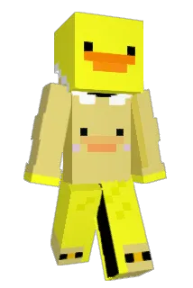 Zywii Minecraft avatar full body