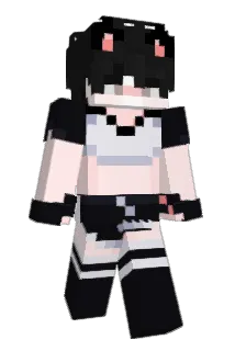 _01001001_ Minecraft avatar full body