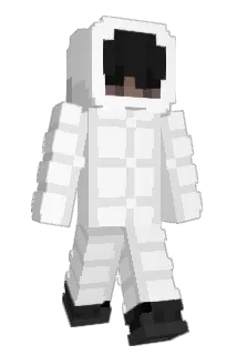 _027_ Minecraft avatar full body