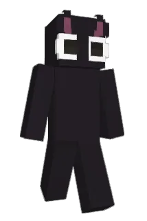 _107 Minecraft avatar full body