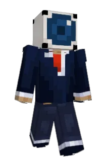 _140_ Minecraft avatar full body