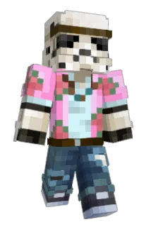 _240 Minecraft avatar full body