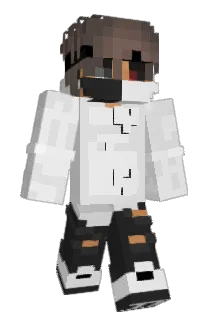 _300IQ Minecraft avatar full body