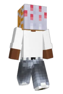 _50lz Minecraft avatar full body