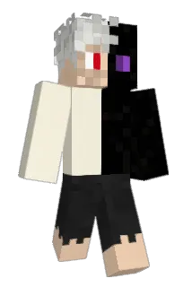 _5MrCraft9_ Minecraft avatar full body
