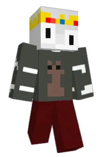 _77x_ Minecraft avatar full body