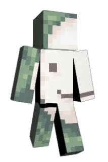 _7_ Minecraft avatar full body