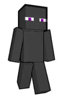 _8nd Minecraft avatar full body