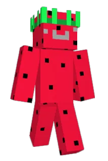 _9282 Minecraft avatar full body