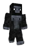 _ADN Minecraft avatar full body