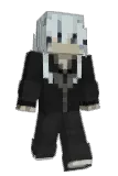 _Airbus Minecraft avatar full body
