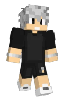 _AquX Minecraft avatar full body