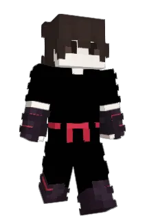 _Armadillo8_ Minecraft avatar full body