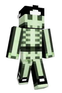 _BGR4Y_ Minecraft avatar full body