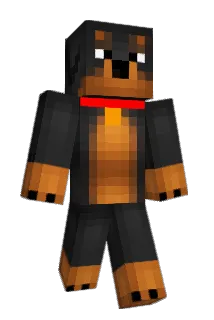 _BMAX_ Minecraft avatar full body