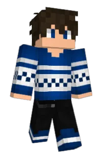 _Bedois Minecraft avatar full body
