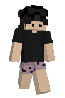 _BegBraz_ Minecraft avatar full body