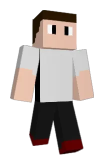_Blanke Minecraft avatar full body