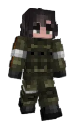 Custom render preview