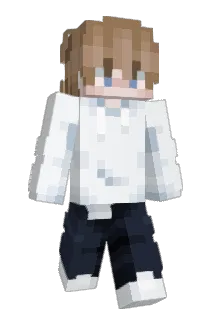 _Confidential_ Minecraft avatar full body