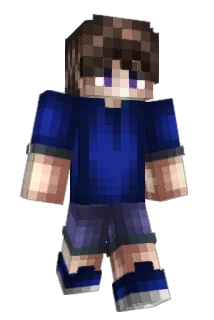 _DL14 Minecraft avatar full body