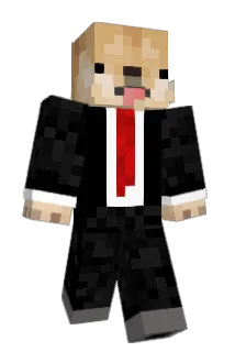 _DiiMOn_ Minecraft avatar full body