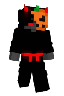 _Directions_ Minecraft avatar full body