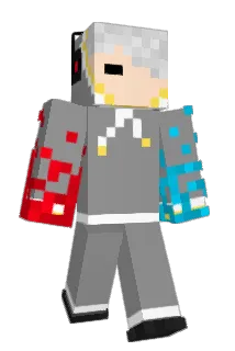 _Don_Don_ Minecraft avatar full body