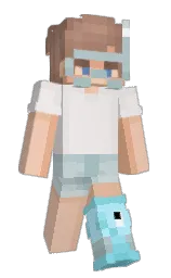 Custom render preview