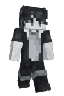 _ETE Minecraft avatar full body